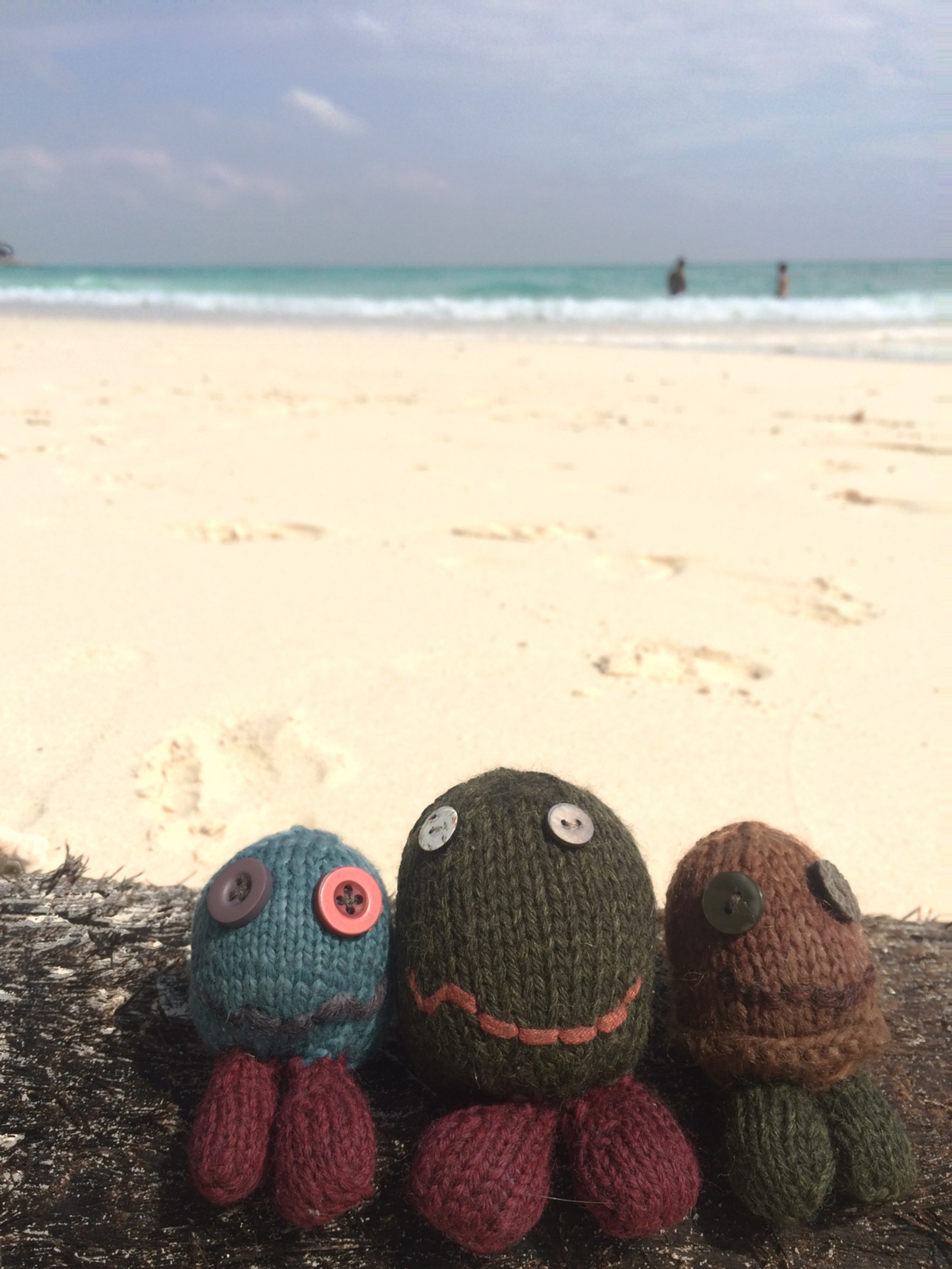 The Guys with the ocean behind them