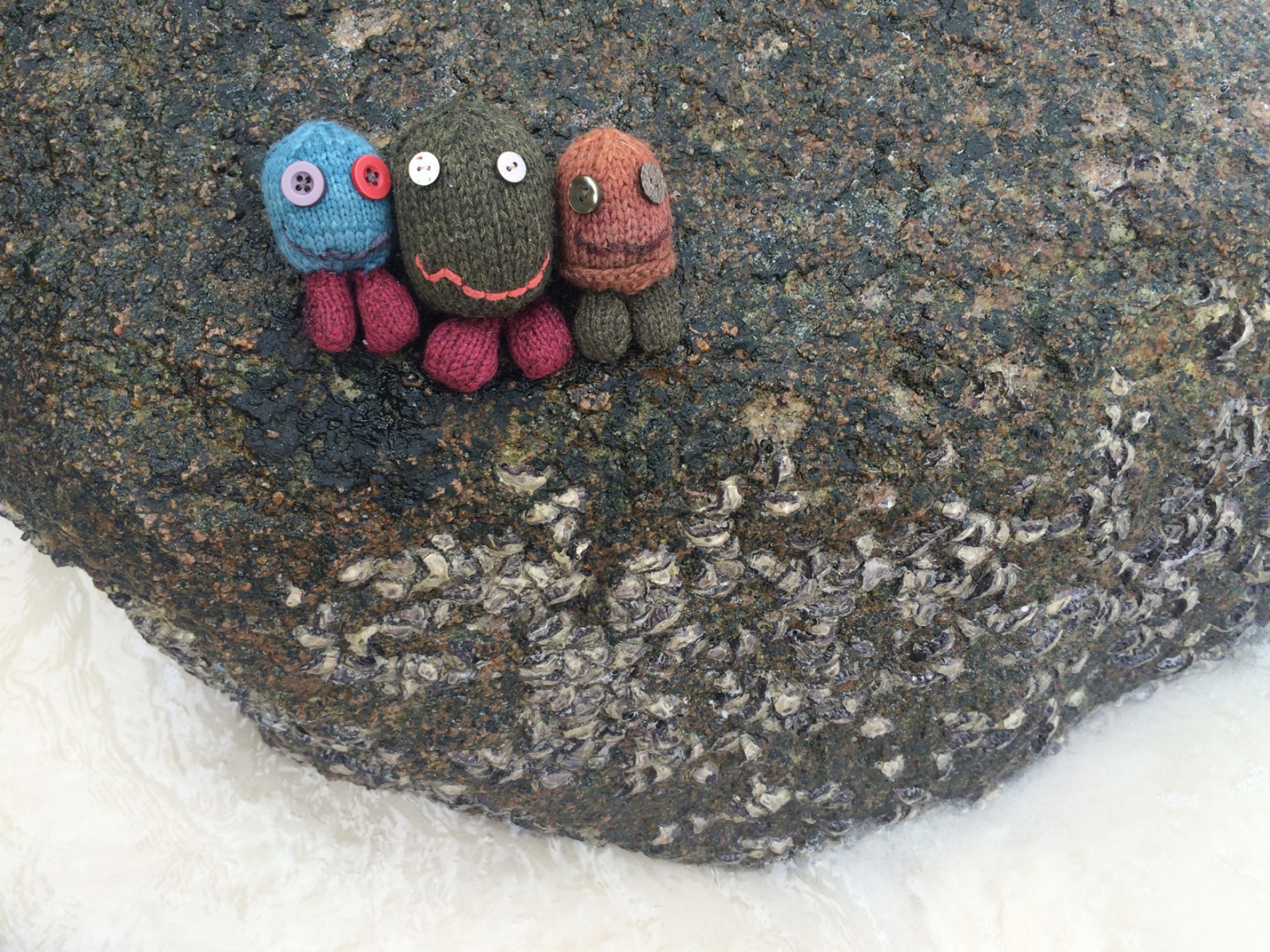 Guys, a rock, and barnicles