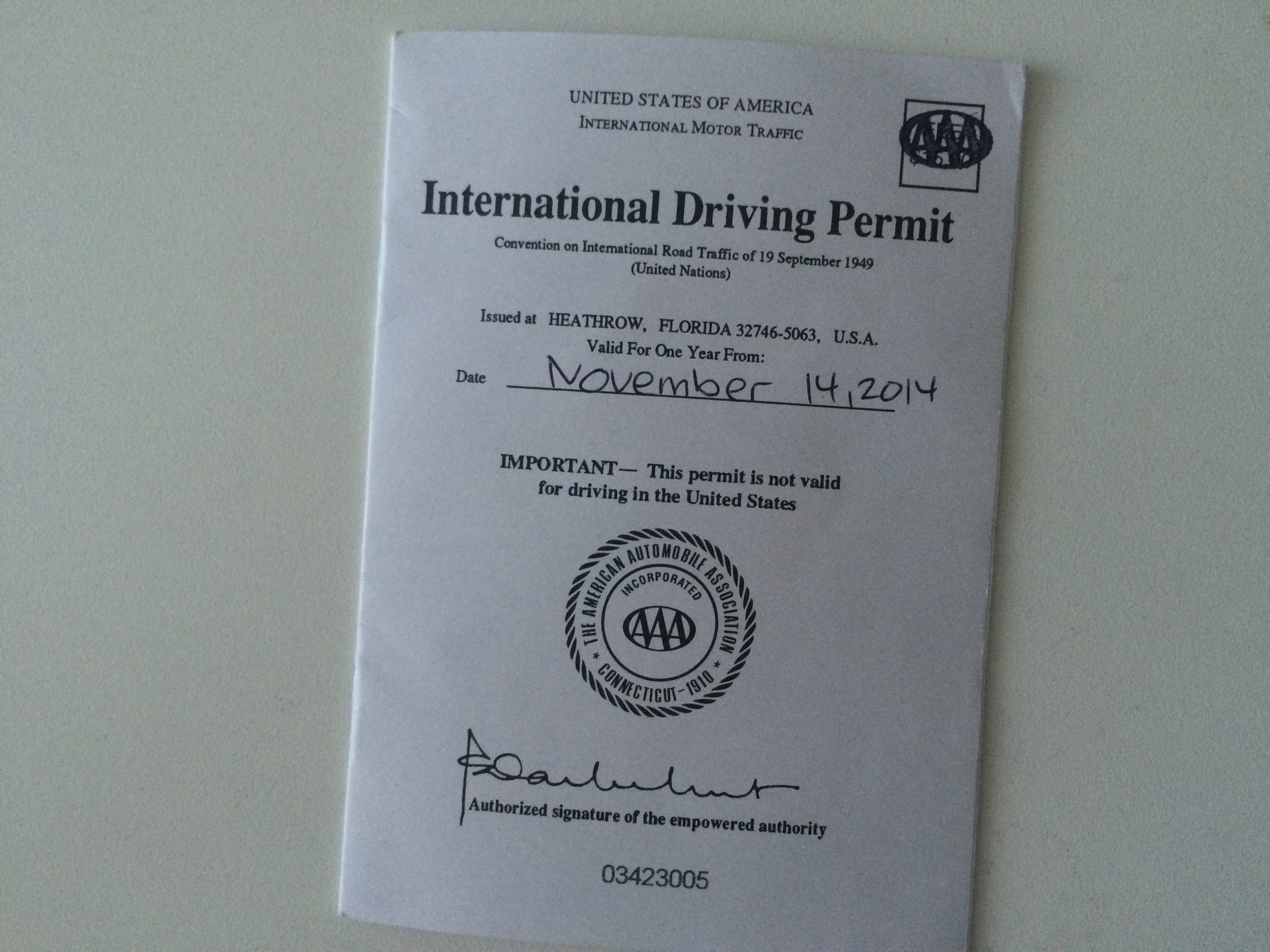 International Driving License